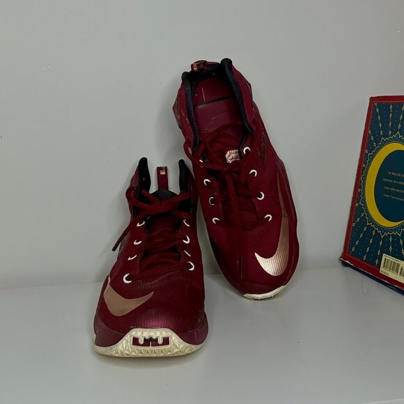 Nike LeBron 13s - Picture 4 of 4
